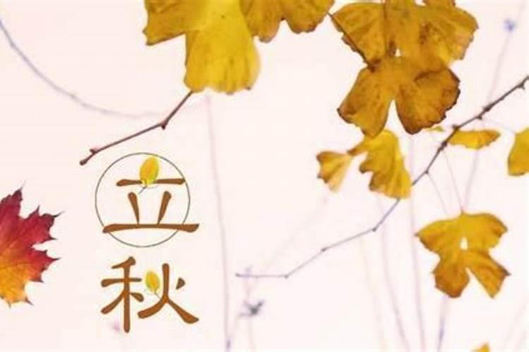 立秋后饮食起居注意点秋季衣食起居的注意事项有哪些