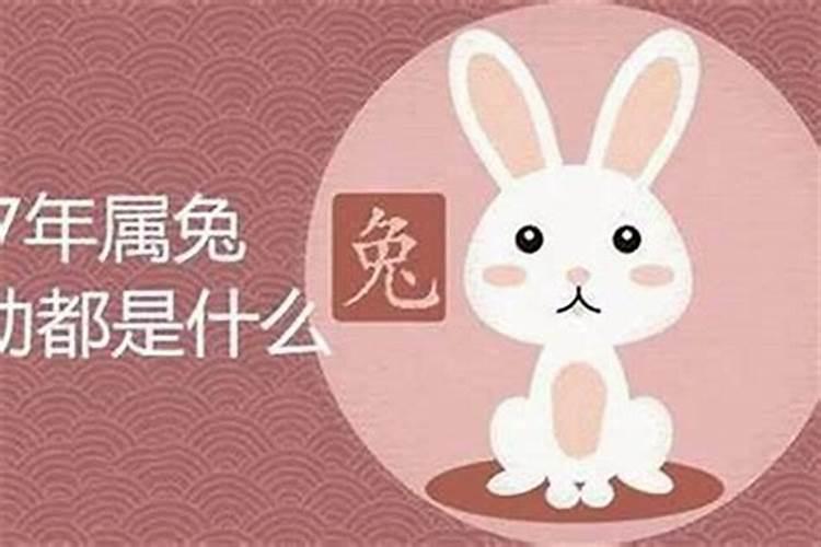 今天9月2号87年的兔子今天的运气如何财运如何？