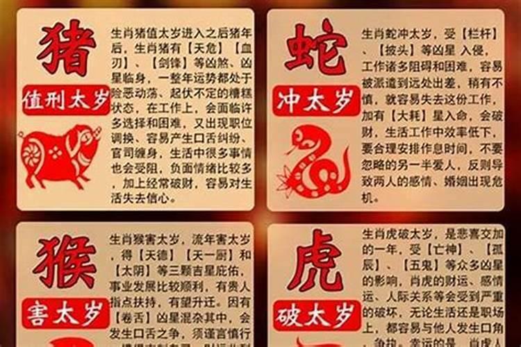 25年太岁犯什么属相