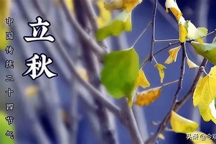 今年立秋热不热,是早秋还是晚秋