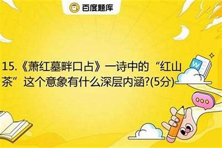梦到龙的人有福吗