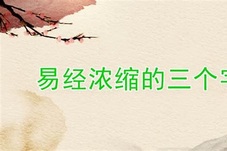 家里放什么最旺事业