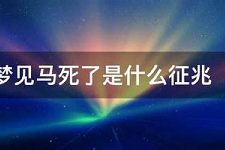 梦见马死了有很多血的预兆