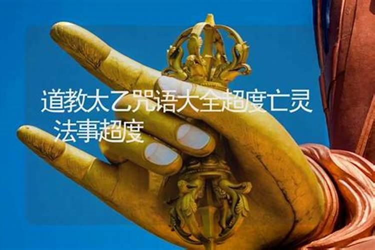 河南的朋友进