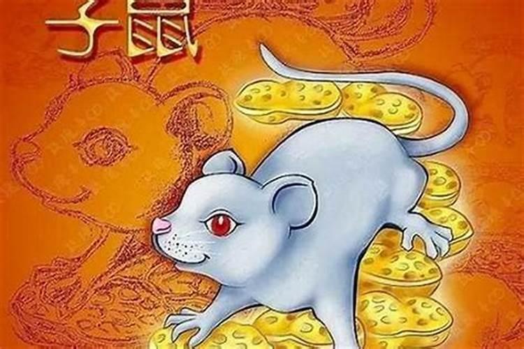 1996属鼠女生的命运