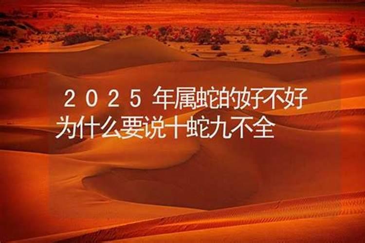 属蛇人2025年运势详解
