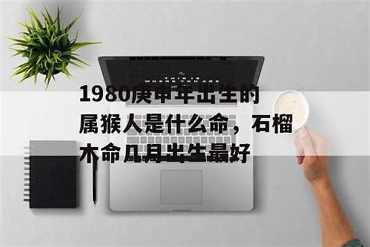 八零年属猴女2023年运势如何