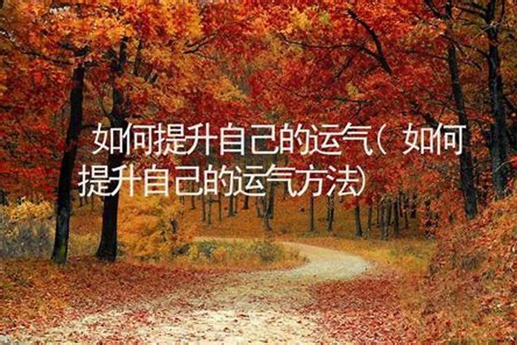 如何提升自已的运气？