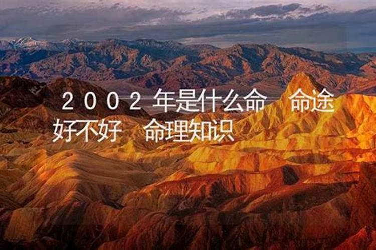 2002是什么命？
