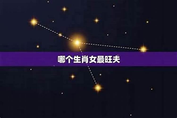 什么星座的女人旺夫？