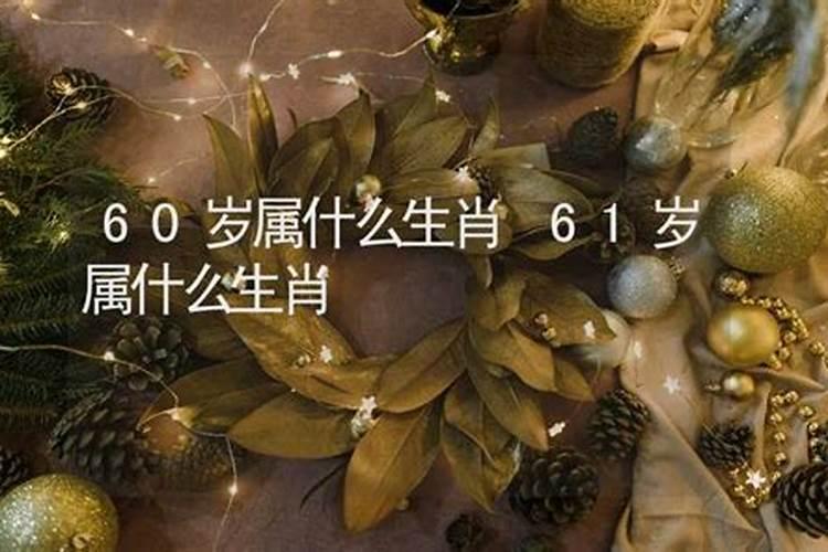 60岁属什么？