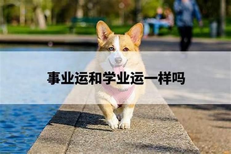 事业运和学业运有关吗？