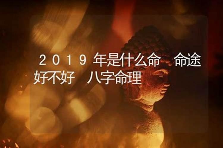 2019是什么命？