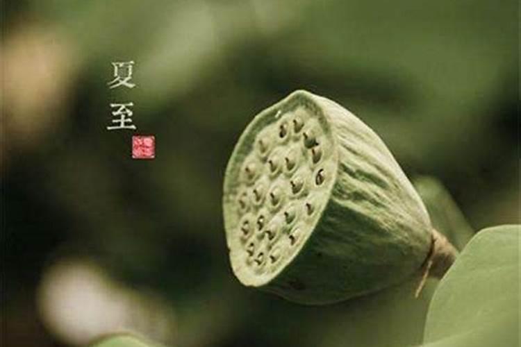 今年夏至是几月？