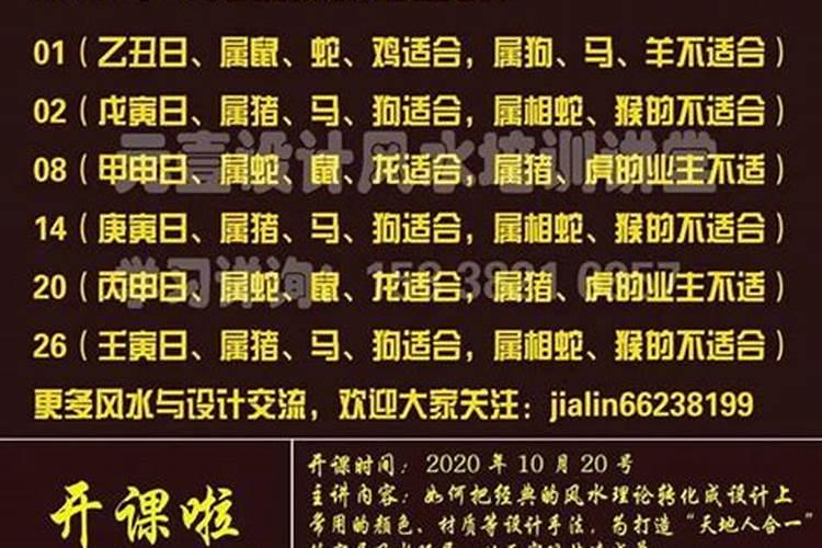 2023年属猪的乔迁吉日