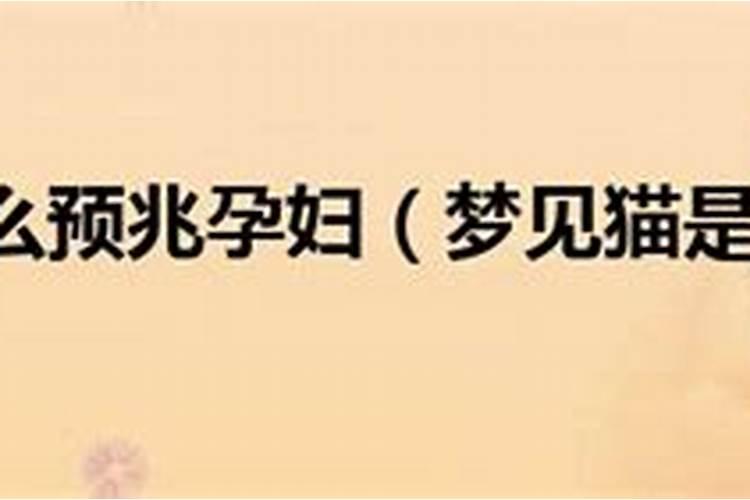 梦见猫是什么预兆孕妇？