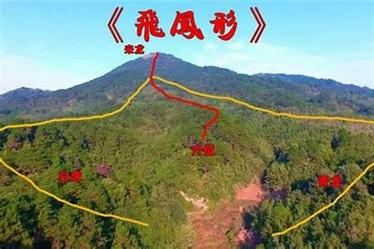 怎样才能看出风水？