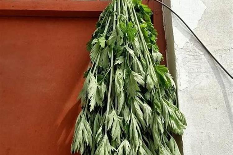 端午节门口挂艾草是什么习俗？