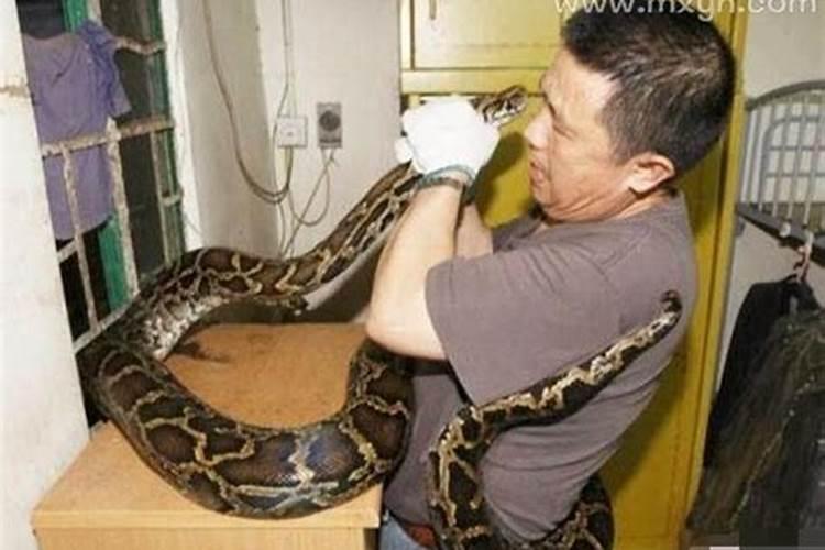 梦见蛇缠身体什么意思？