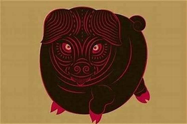 71年是什么生肖？