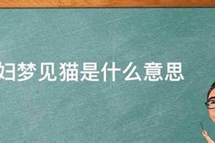 怀孕梦到猫是什么意思？