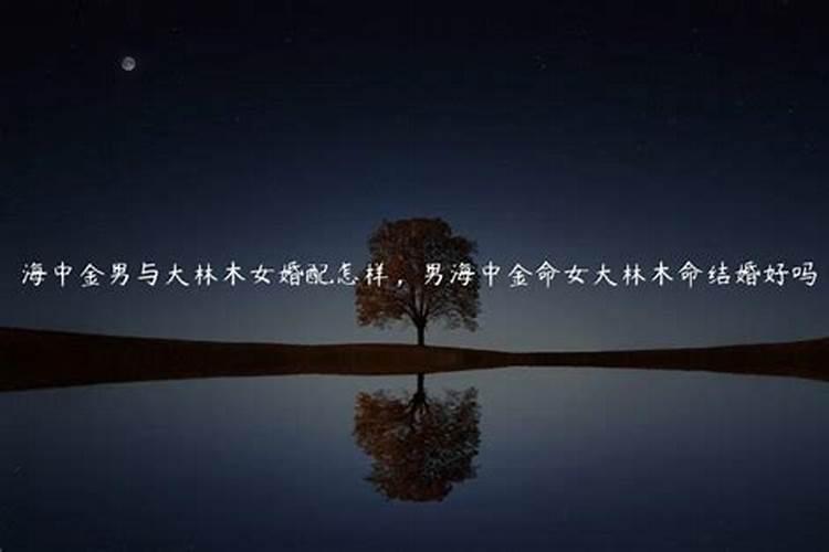 男大林木和女金合婚吗？