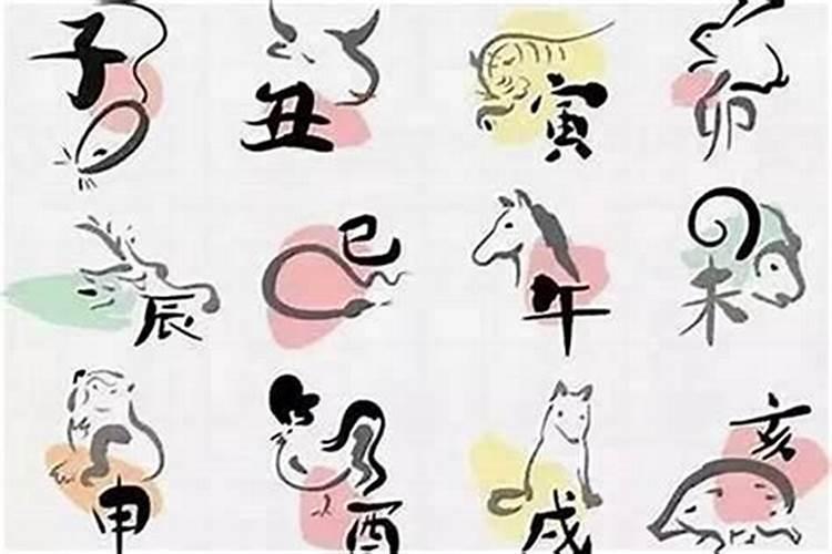 今年哪个属相运气好？