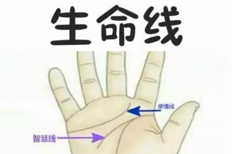 生命线是哪一条？