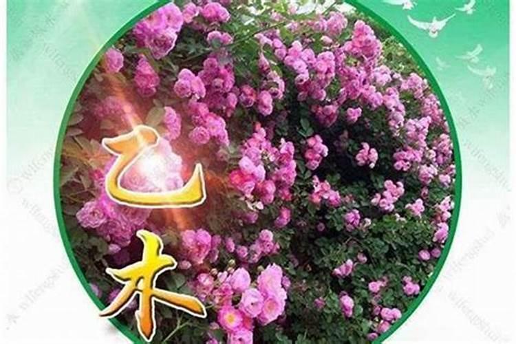 木命怎么提高财运？