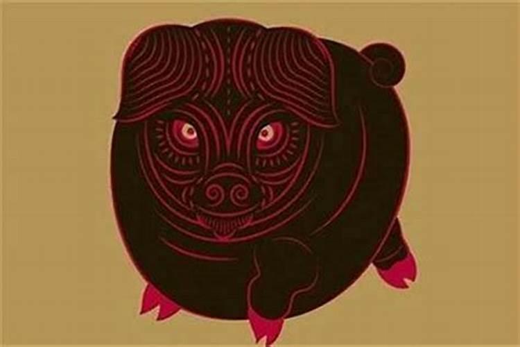 1971年属猪的是什么命男婚姻？