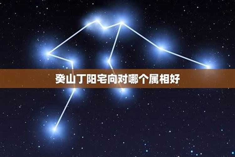 癸山丁向利于什么属相？