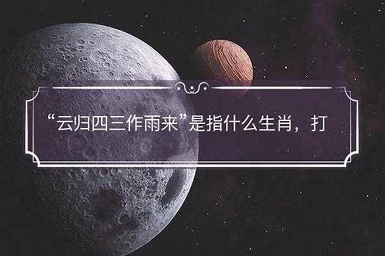 雨指什么生肖？