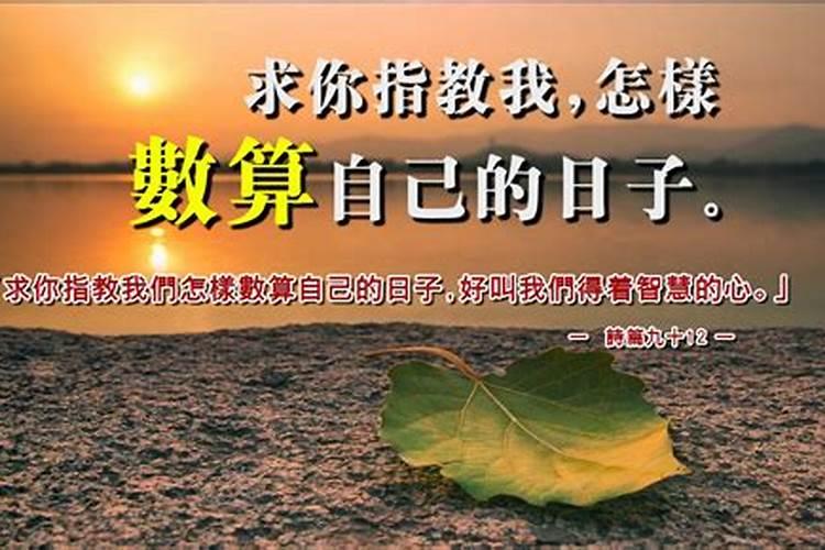 求你叫我数算自己的日子