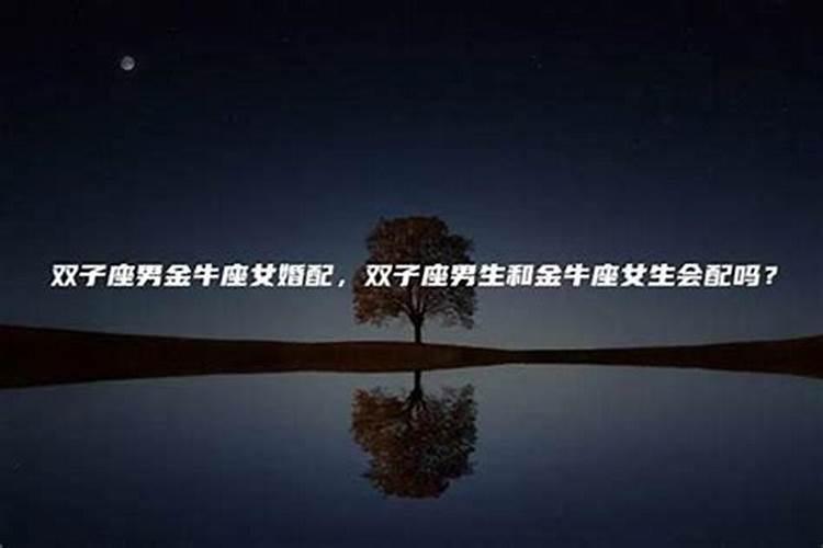 金牛座和双子座合婚吗？