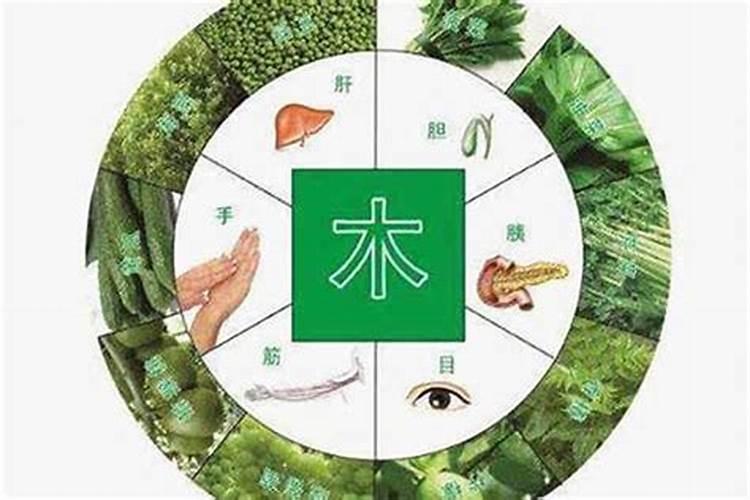 八字缺木水怎样补？