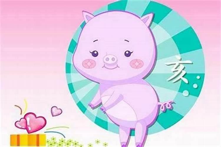 猪年生什么生肖宝宝好男孩？