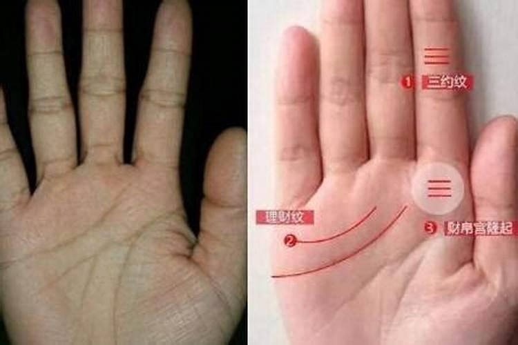 看手相算命准吗？