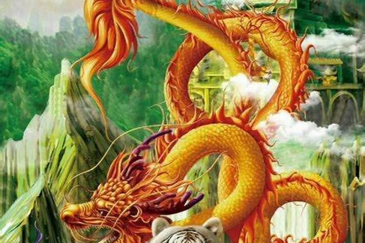 龙虎相争：探究虎和龙配婚姻的奥秘