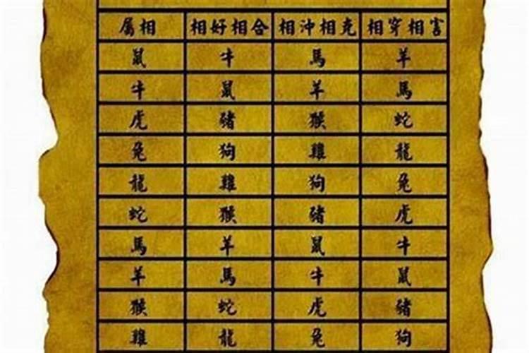 生肖姻缘：哪些配对最完美？
