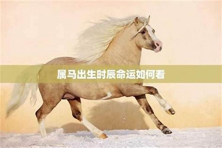 鸡马姻缘：八字命理中的奇妙组合
