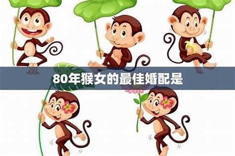 猴年女子的命定伴侣：八字命理揭秘