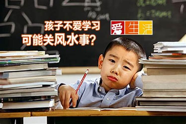 孩子不爱学，家装风水有关吗？？