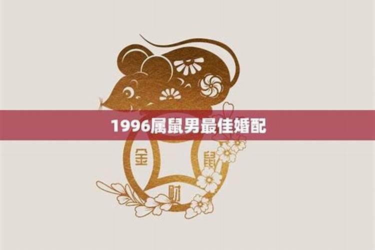 属鼠婚配：寻找最佳属相伴侣