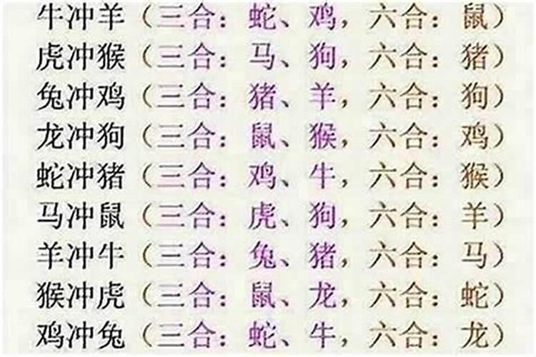 牛马相配：女属牛男属马的属相婚配解析