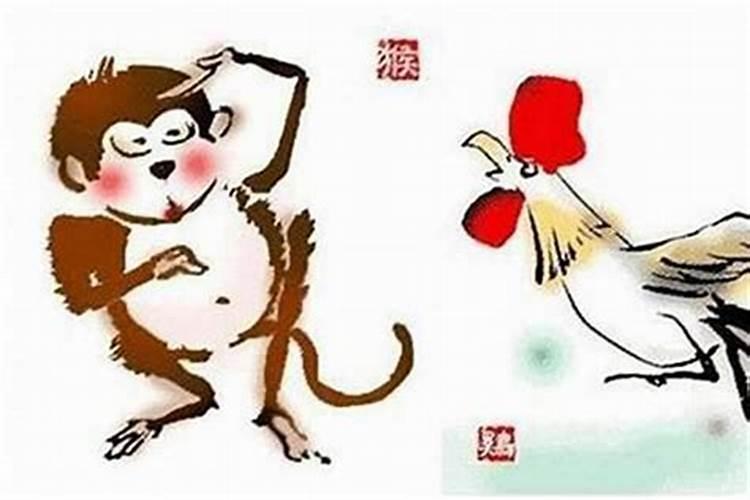 鸡鼠之缘：八字合婚中的属鸡男与属鼠女
