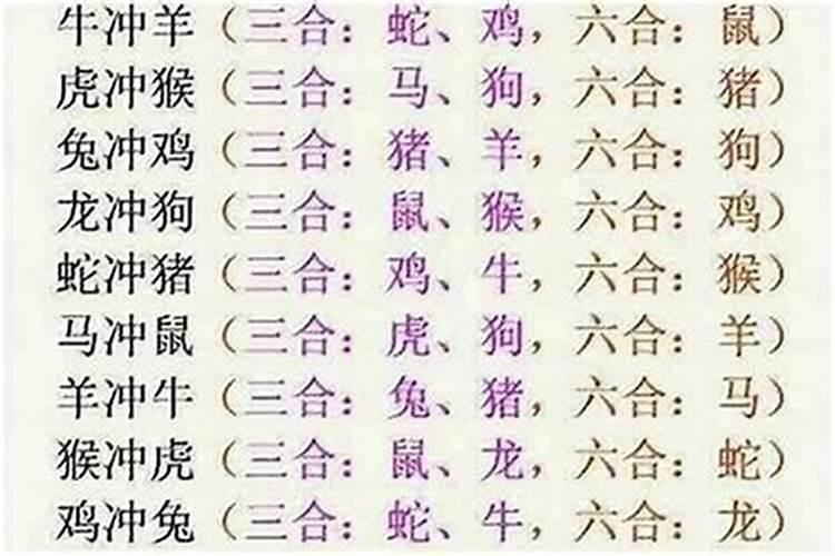 八字命理解读：属相马和牛的婚配之谜