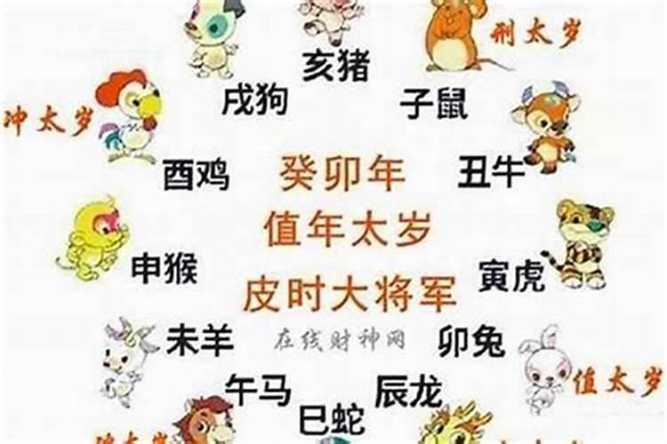 虎年今年犯太岁吗属什么？