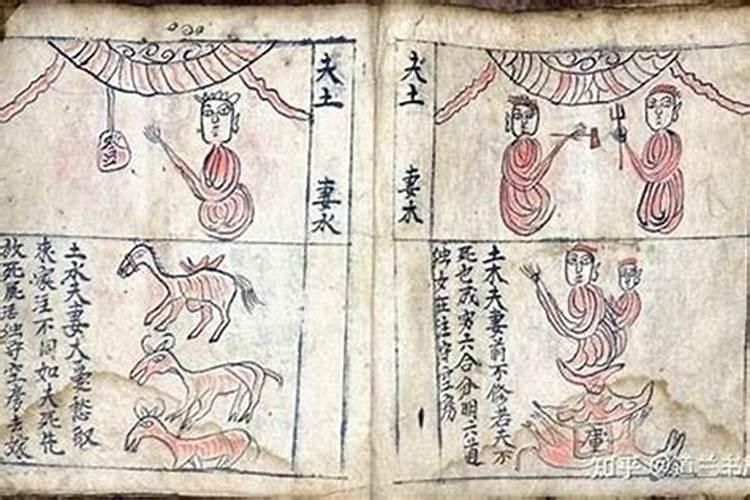 蛇鸡合婚：八字命理解读与婚姻建议