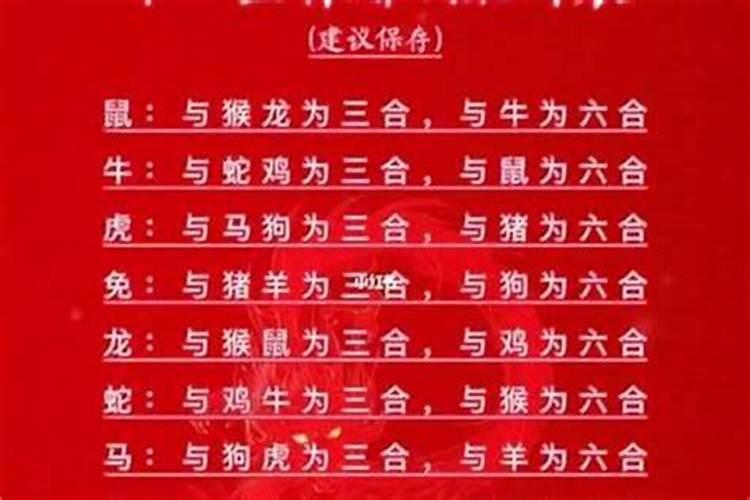 鼠年佳缘：属鼠的和什么属相合婚？