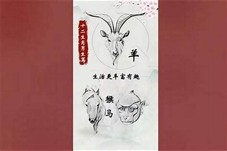 属鼠婚配哪个属相最好：八字命理解析？